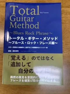 ギタリスト養成講座 カッティング編 フレーズ&フィルズ 71zkIqXKWeL._UF350,350_QL50_.jpg