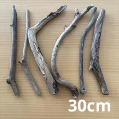 Item thumbnail for item b73d037c-443f-43c1-9bf3-9b38bc5b3483