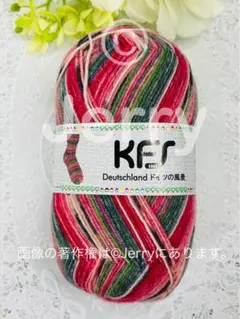 Opal毛糸: KFS [ドイツの風景] ヘッヒンゲン 1玉