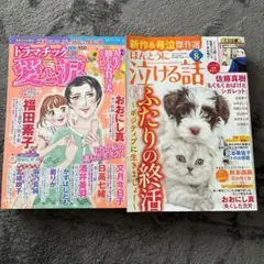 レディースコミック　2冊