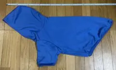 Item thumbnail for item a0c88ee9-8dd5-4a2c-9377-970a87360ebb