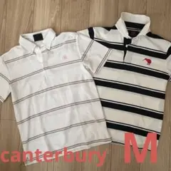 canterbury カンタベリー　ストライプ　ポロシャツ　2枚セット　M