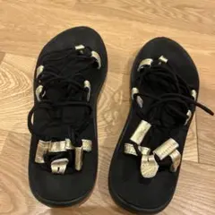 TEVA VOYA INFINITY METALLIC