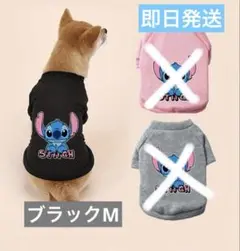 Item thumbnail for item 9ddaffa1-5002-489d-816a-4c5bdd25a42f