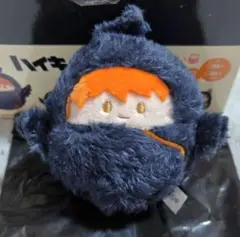 ハイキュー！！　くるみたぴぬい　日向