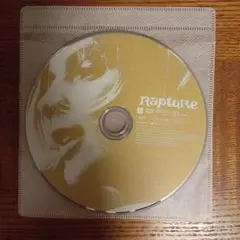 かもめの城　DVD