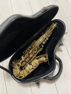 希少 The Marcato ソプラノサックス 黒色 管楽器 ハードケース付属 Yahoo!オークション -「ソプラノサックスmarcato」の落札相場