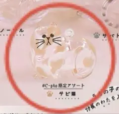 #C-pla限定ガチャ　うちの子のけだまだま　 サビ猫（限定アソート）