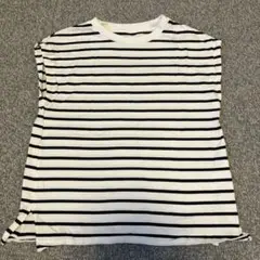 ストライプ Tシャツ