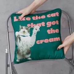 新品⭐Pechanko Catsクッション