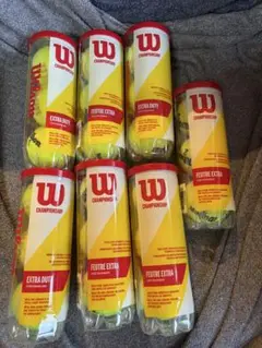 Wilson Championship Extra Duty テニスボール