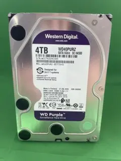WD 3.5インチHDD 4TB
