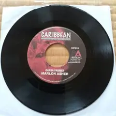 Marlon Asher Ganja Farmer 7インチ