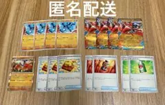メガルカリオex rr デッキパーツ　リオル　パワープロテイン他　メガブレイブ