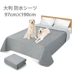 Item thumbnail for item d078d592-069a-431a-ba3d-2c8fb64a8cb8