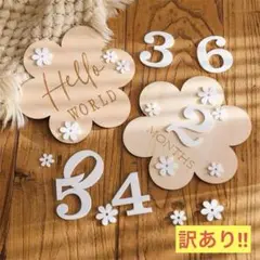 訳あり 木製レターバナー 月齢フォト マンスリーフォト ニューボーン 花