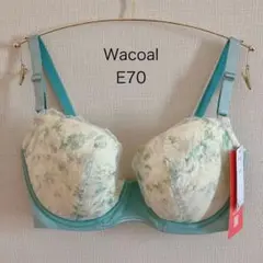 Item thumbnail for item ce8db6fd-fb0a-4b62-819e-c655638da7a3