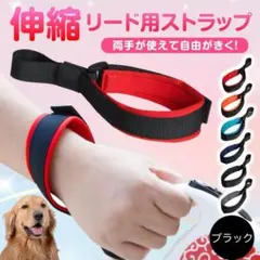 Item thumbnail for item 144dc2d4-c897-48a1-ade8-919b13809669