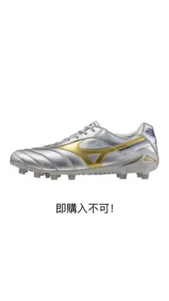 mizunoモレリアdna 27cm