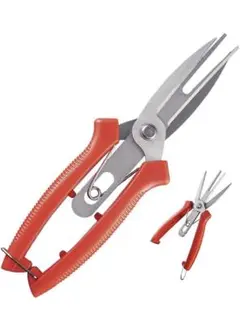 Item thumbnail for item 05845e42-cea9-4d5b-b5fb-9c06883f3b9a