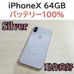 【豪華おまけ付き】iPhoneX 64GB シルバー　SIMフリー