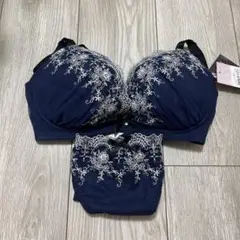 大きめサイズ！！刺繍ブラジャーショーツセット 75F