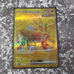 ウガツホムラUR