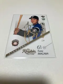 Item thumbnail for item 33dde90a-521e-415b-919a-330e98db1a55