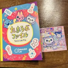 たまごっち パラダイス たまラボファイル たまらぼステッカー ほーほっち