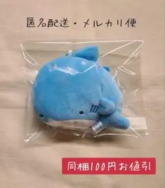 つぶらな瞳シリーズ　じんべえざめ