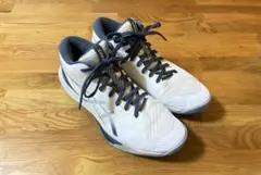 【高橋藍着用モデル】asics skyelite FF MT 3 27.0cm