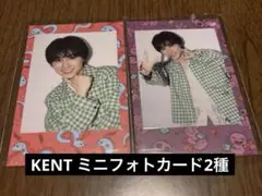 龍宮城　KENT ミニフォトカード　ポップアップ
