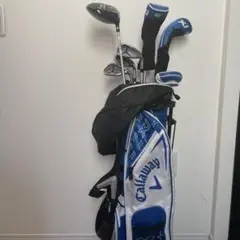 Item thumbnail for item 11230b53-e9a1-4c1d-939d-78846c236aeb