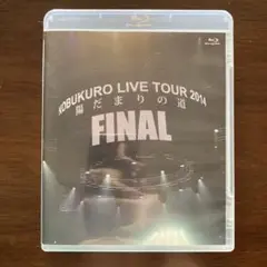 コブクロ/KOBUKURO LIVE TOUR 2014\"陽だまりの道\"F…