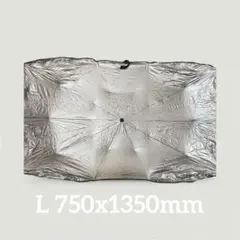Item thumbnail for item 42eaee5a-e834-428f-90c3-4514a42d30bf