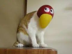 ロールシールおすそ分け‼️り様