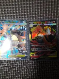 メガガルーラex & メガバクーダex2枚セット