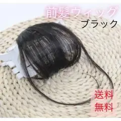 前髪ウィッグ ブラック シースルーバング レディース ストレート ナチュラル