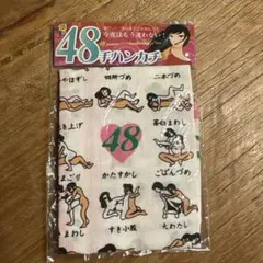 愛の48手ハンカチ　今夜はもう迷わない！