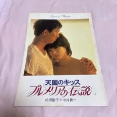 天国のキッス プルメリアの伝説 映画パンフレット
