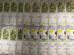 ポケモンカード　汎用カード　ポッポ　なかまをよぶ　かぜおこし　22枚