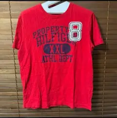 TOMMY HILFIGER トミーヒルフィガー Tシャツ Lサイズ