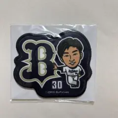 エアーくじ C賞 ワッペンバッジ