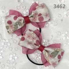 Item thumbnail for item bec34a27-3601-4dcc-93aa-d8fe88d40ced