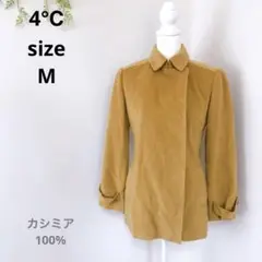 Item thumbnail for item b2b2c786-640c-4b5a-9c25-51f1626af36e