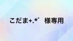 専用ページ