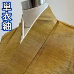 Item thumbnail for item 607a0d02-a6d0-450f-83a0-76c52614ae0e