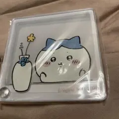 ハチワレ