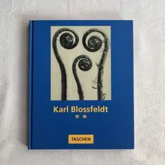 90s Karl Blossfeldt art book