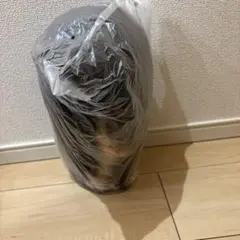 Item thumbnail for item aced0755-3587-4521-9f59-fdbd99802947